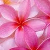 Denice Thomas's photo