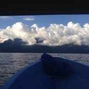 Emily Kores's photo