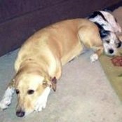 Valerie Kalas Zigich's photo