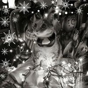 Tanya Steffey's photo