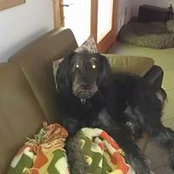 Lynne Newberry's photo