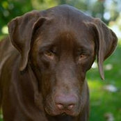 Kathleen Evison's photo