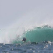 Wade Barnes's photo