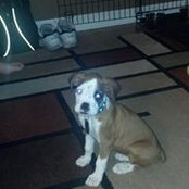 Jackie Akers's photo
