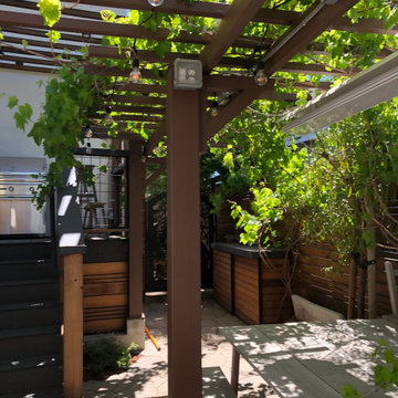 Redwood City Sustainable, Edibles and Whimsical