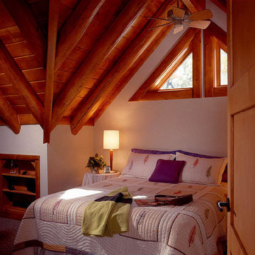MODERN NATURAL LOG HOME