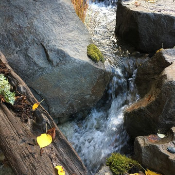 Van's Mountain Pond