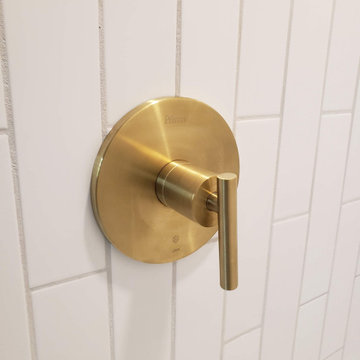Terrace Drive masterbathroom project