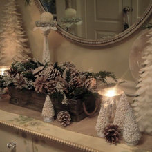 pine cones
