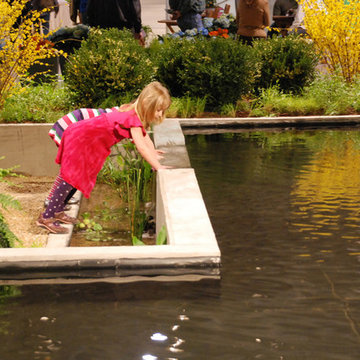 Natural Swimming Pool. 2014 Chicago Flower and Garden Show