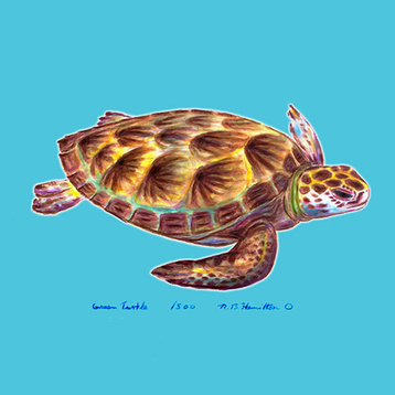 Betsy Drake Sea Turtle Neoprene Coaster Set of 4