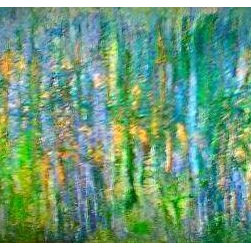 MAFMP - Mixed Media Art