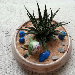 Petite Gardens: The Zebra and the Cat - Plant Pots & Planters