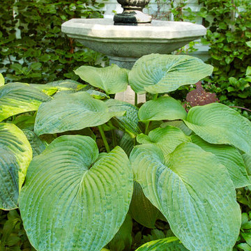 Great Gardens