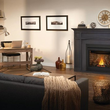 Napoleon Fireplaces