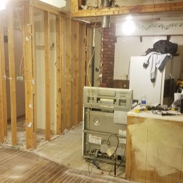Living Room / Kitchen Remodel