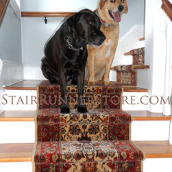 Pets on Stairs - Hall And Stair Runners