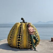 Luca Politi's photo