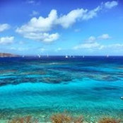 Robert Cordova's photo