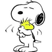 Diane Beshara's photo