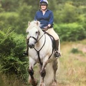 Foto von Angie Nettle