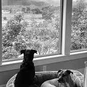 Kim Solie's photo