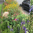 Sprout Farms & Gardens's profile photo