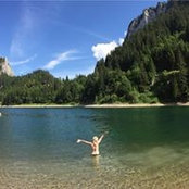 Rochelle McCord Dinger's photo