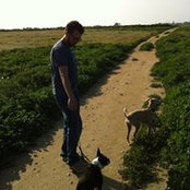 Aaron Finkle's photo