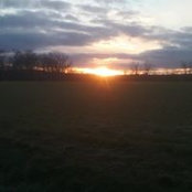 Foto von Danielle Soule