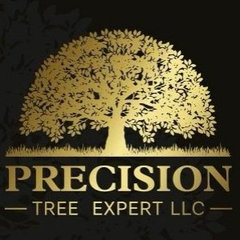 Precision Tree Expert