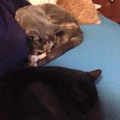 Nita Ostermann's photo