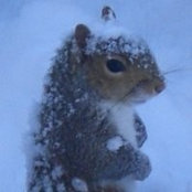 Sally Rudkin's photo