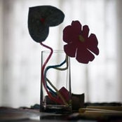 Pamela Heckel's photo