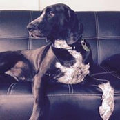 Angela Schaeffer's photo