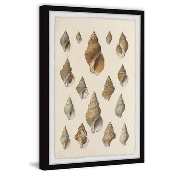 "Handful of Shells" Framed Painting Print, 8x12