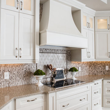 Cooktop Area & Canopy
