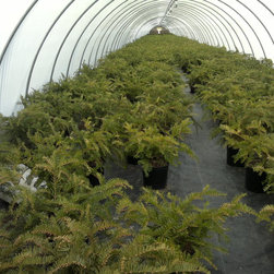 RI Farms - Products