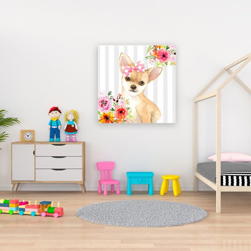 CHIHUAHUA DOG