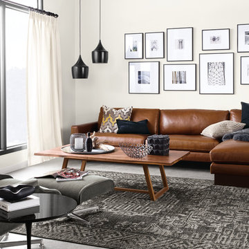 Hess Leather Sofa and Amira Rug
