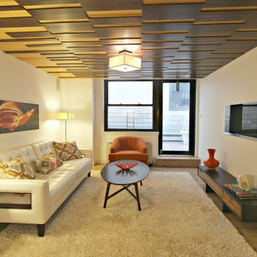 NYC Living/Family/Den Rooms by Designed to Appeal