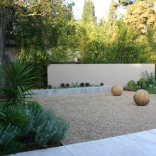 Garden / Landscape