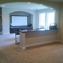 Family Room (basement)