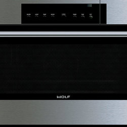 Wolf 30" E Series Transitional Convection Steam Oven Stainless Steel | CSO30 - Ovens