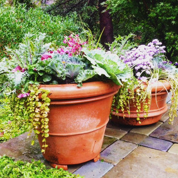 Fall Container Garden Design