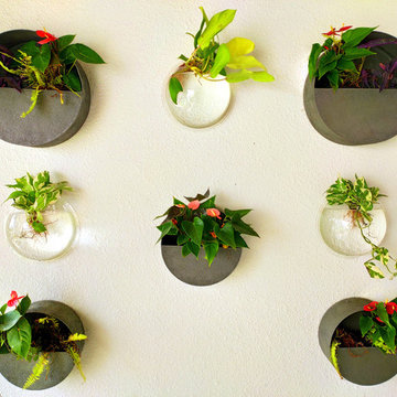 Todi's Balcony Garden