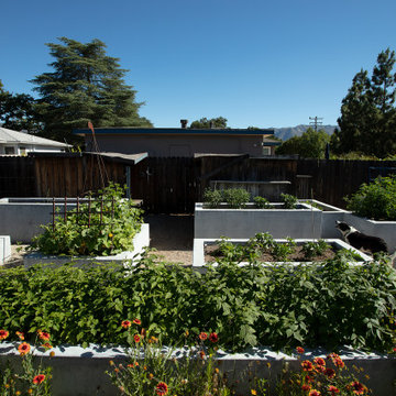 The Escher-Stella Garden