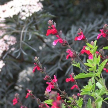 Dramatic Hillside Garden