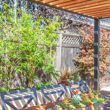 Patio Ideas