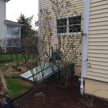 Basement Egress